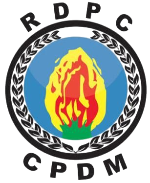 CPDM Logo